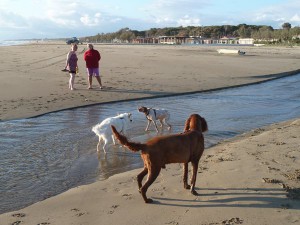 Strand