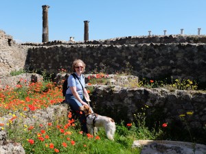 pompei