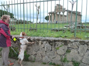 tempel